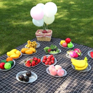 바시니아 피크닉 돗자리 매트 휴대용 방수 한강 돗자리