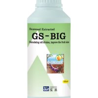 도프 gs빅 500ml 세포분열 성장 확대 비대제