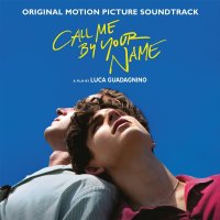 콜미바이유어네임 LP Call Me By Your Name