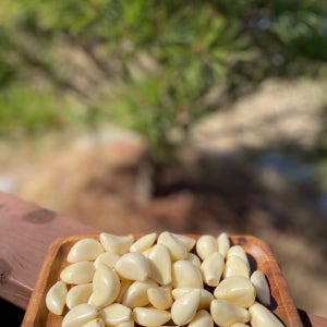 국산 마늘 국내산 깐마늘 2.5kg