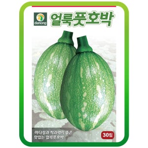 얼룩풋호박씨앗 600립 마디성과 착과력이 좋은 호박씨