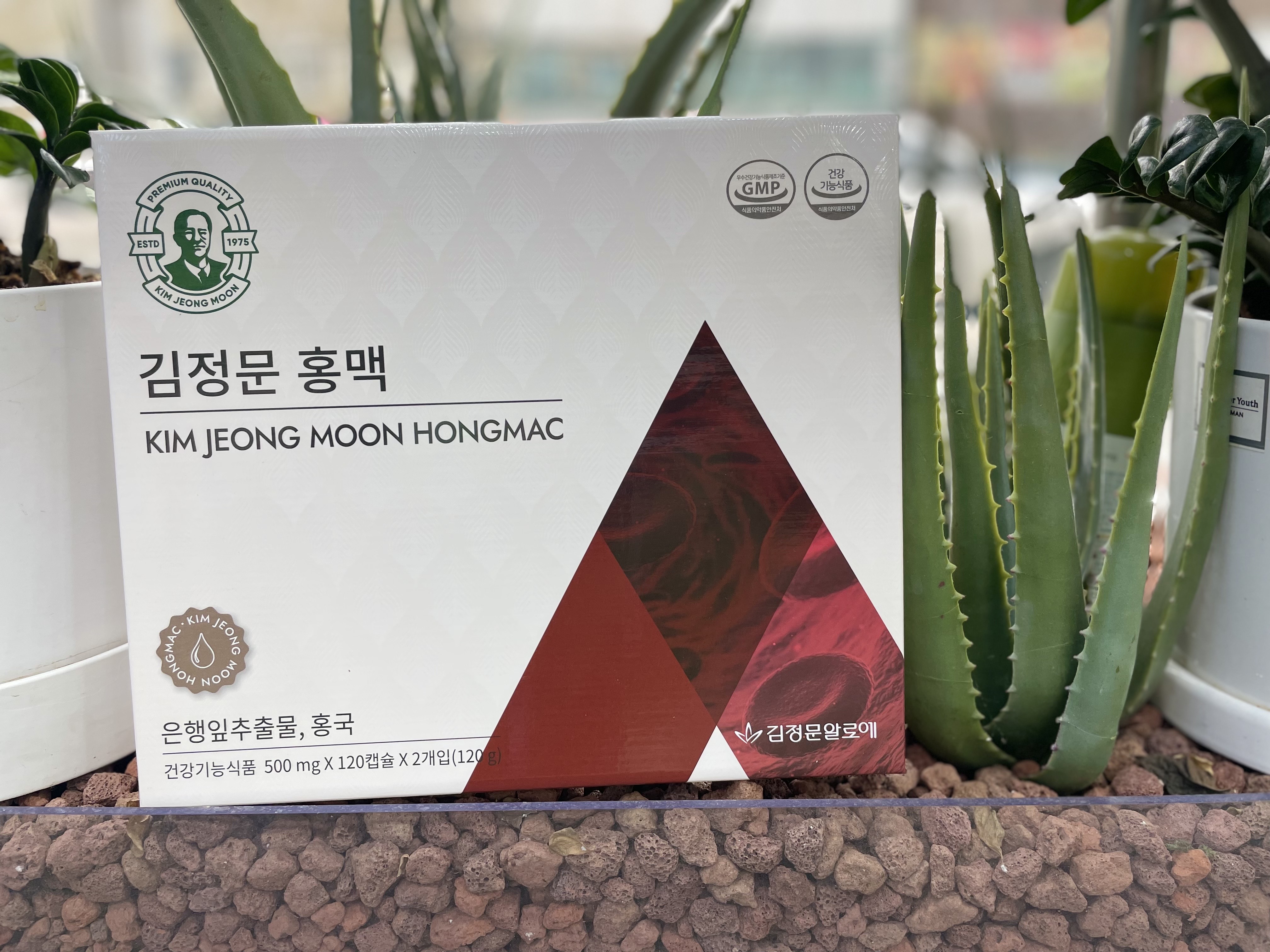 김정문 홍맥