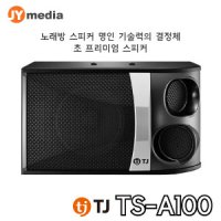 [TJ미디어] TS-A100 노래방스피커 500w 10인치, 초 프리미엄스피커, 태진