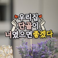 개업토퍼 자유문구토퍼 카페 식당 데코픽