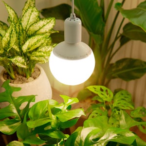 식물등 LED 식물생장등 15W 볼램프 히포팜텍 성장 조명 전구 인테리어 홈가드닝 식집사
