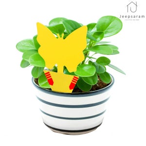 초파리 트랩 날파리 퇴치