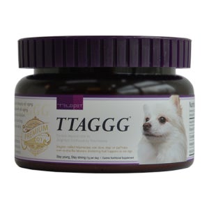 텔로펫 TTAGGG - 텔로미어보호 영양제 (강아지용 통제품)