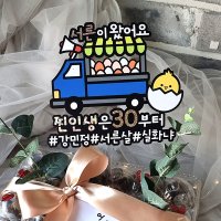 한글토퍼 1055 / 30살 계란한판 토퍼 서른살 생일 케이크 선물