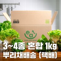 유럽종 샐러드채소 구미 수경재배 혼합 뿌리채소 1kg (4종 랜덤)