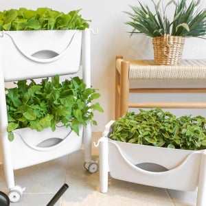 이동식 저면관수 화분 실내 텃밭 자동 급수 화분 화이트 투명, 1개