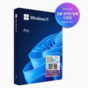 윈도우 11 프로 정품USB [공인인증점]
