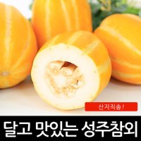 진짜 성주 꿀 참외 못난이 대용량 11kg (실중량10kg)