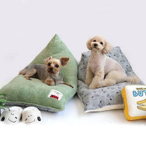 패리스독 스누피빈백 편안하고 디자인까지 멋져 난리 난 그 쿠션