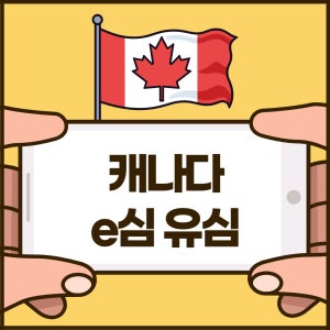 [캐나다이심] 워홀 이민 어학연수 유학 장기사용 로저스 파이도 개통