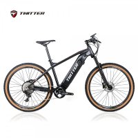 트위터전기자전거 E300후륜구동 SRAM NX11단 350W 16A