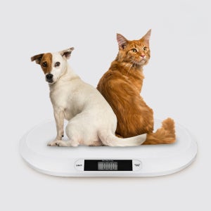 강아지 고양이 정밀 저울 체중계