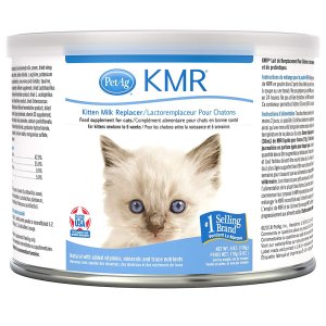 PetAg KMR 밀크파우더 170g 0-6주 고양이 PetAg KMR Kitten Milk Replacer Powder - Prebiotics