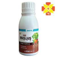 대유 뿌리나라 300ml(액제) - 뿌리발근제 식물영양제 삽목 접목 침지 뿌리활착 발근촉진제 루톤 루팅파우더 메네델 효과 장미 제라늄 다육이 수경재배 복합비료