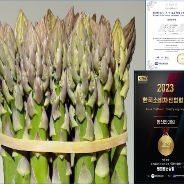 국산 아스파라거스 생아스파라거스 강원도 철원 산지직송 500g 1kg