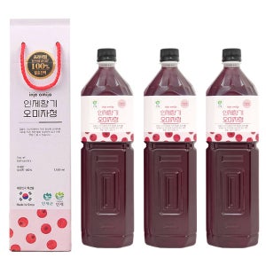 인제향기 생 오미자청 100% 원액 발효진액 액기스 엑기스 1.5L 3병 선물용 대용량 업소 카페용 농장직송 수제 전통방식 물 한방울 넣지않은 100%자연숙성