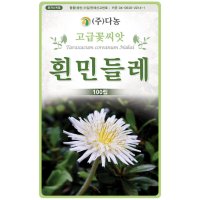 흰민들레씨앗 100립 약용 식용 민들레꽃씨 야생화종자 민들레씨