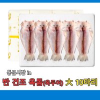 (무료배송) 반 건조 옥돔(옥두어 )제주농수산 대사이즈 10마리