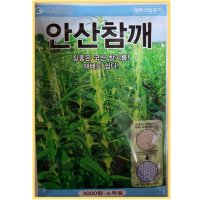 안산참깨 3000립 - 코팅참깨 가지깨 그린하트바이오 [23년 3월 포장]