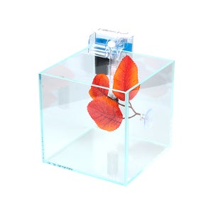 베타 소형어 키우기 세트 디아망 15