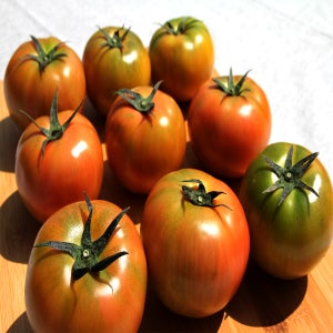 창녕 찰토마토 5kg