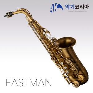 이스트만 EAS652 (Eb) 알토 색소폰 전문가용