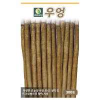 우엉씨앗 300립 다농