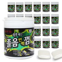 대용량 24통 졸음 방지 번쩍껌 자일리톨 휘바 공무험 시험