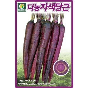 다농 자색당근 씨앗 200립 보라색 당근씨 종자