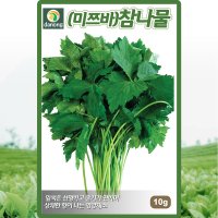 관동 미쯔바 참나물 씨앗 참나물 씨 토종 종자 10g