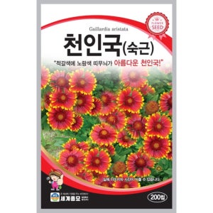 천인국씨앗 숙근종자 200립
