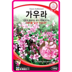 가우라 씨앗 나비바늘꽃 분홍나비 100립 / 꽃씨 몰 고급꽃 종자 봄 가을 노지월동야생화