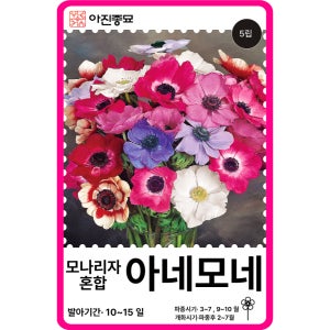 아네모네 씨앗 아네모네 종자 모나리자 혼합 5립 / 꽃씨 몰 고급꽃 종자 봄 가을
