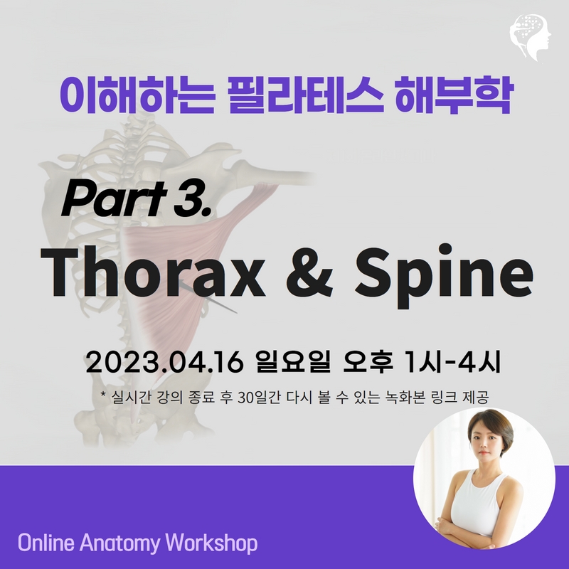 이해하는 필라테스 해부학 Part3.Thorax &amp;amp; Spine