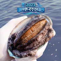 산지직송 완도 활전복 1kg (500g + 500g) 산소포장 1박스 참전복