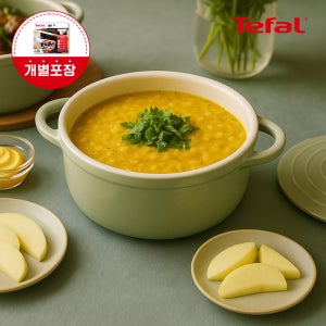 [옵션] 테팔 인덕션 세라믹 주물 에어 양수냄비 20cm, 그린