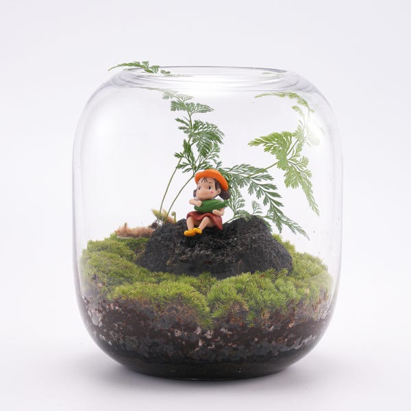 풀레뜨 테라리움 이끼 비바리움 DIY 넓은돔B