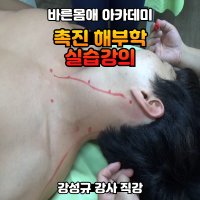 촉진 해부학 실습 강의 - 바른몸애 아카데미 강성규 강사