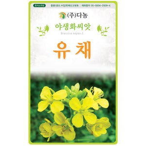 유채꽃씨앗 5g(약10ml) 야생화종자 유채씨 꽃씨