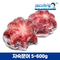 자숙문어 필리핀 500-600g 마리 문어숙회 삶은문어 냉동