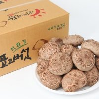 생표고버섯 무농약 참나무배지버섯 1kg