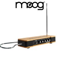 Moog Music Etherwave Theremin 무그뮤직 이더 웨이브 신사이저