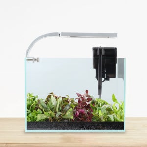 수초키우기 어항세트 스타터 디아망 30