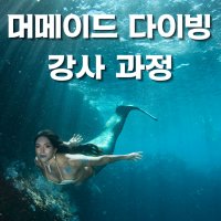 [다이브라이프] 머메이드 강사 과정 강습/교육 - 서울,서초,강남