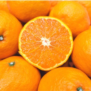 고당도 카라향 3kg 5kg 가정용 선물용