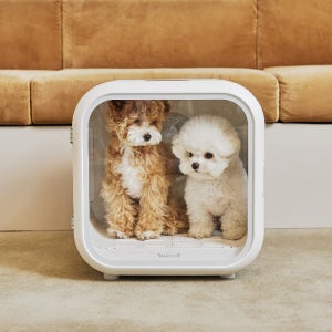 개과천선 애견 강아지 고양이 펫 드라이룸 목욕 드라이기 건조기 털말리기 소형견 7kg